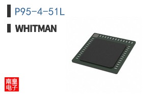 P95-4-51L ͼƬ
